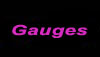 Gauges